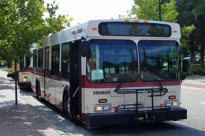 Williamsburg New Flyer D35LF 250603